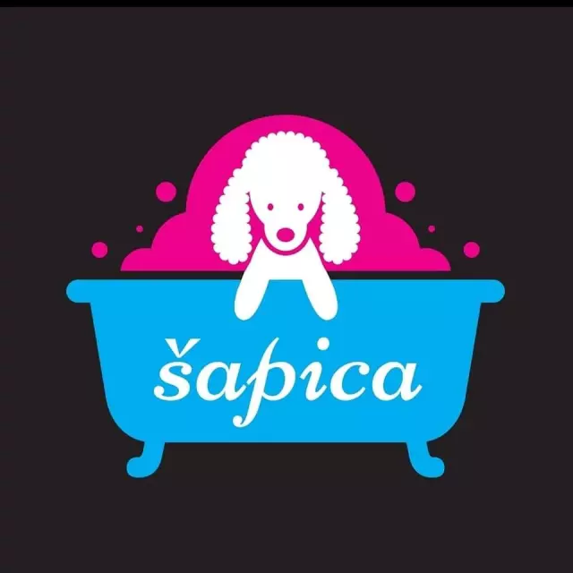 ŠAPICA