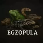 EGZO PULA