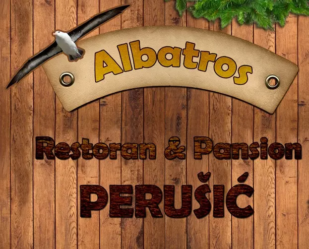 ALBATROS, VL. IVICA TURIĆ