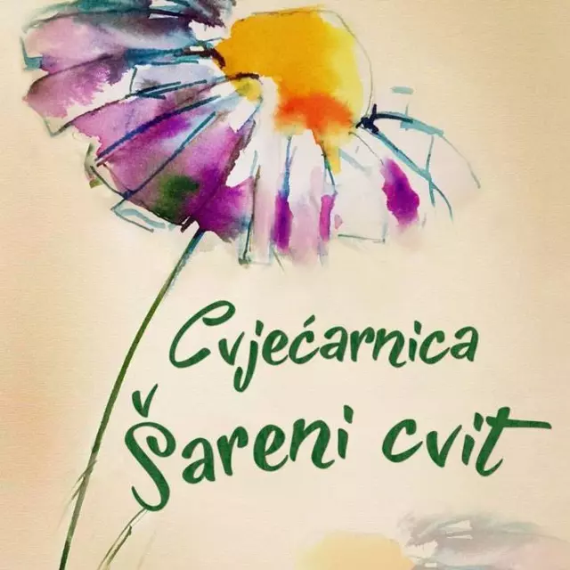 CVJEĆARNICA ŠARENI CVIT, OBRT ZA USLUGE I TRGOVINU, VL. JELENA ŠARAC, KAŠTEL LUKŠIĆ, CESTA DR. FRANJE TUĐMANA 702