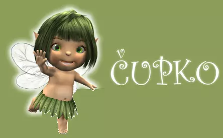 PRIVATNI DJEČJI VRTIĆ ČUPKO