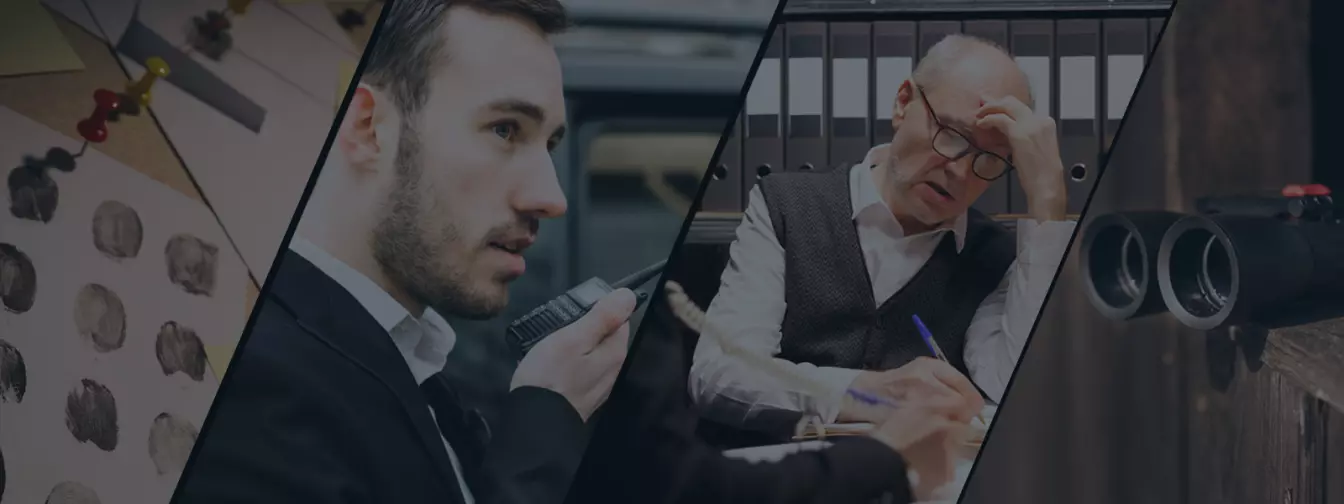 Detektivske agencije, privatni istražitelji