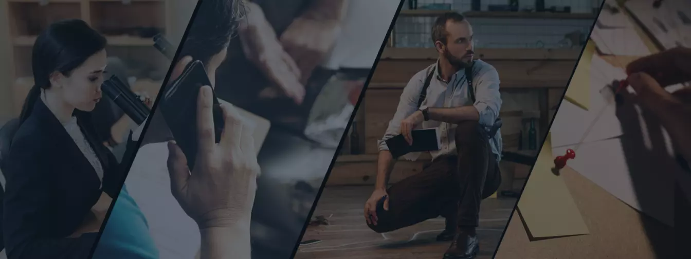 Detektivske agencije, privatni istražitelji