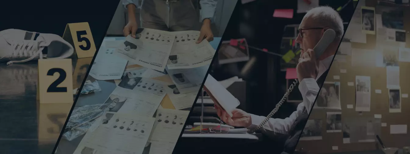 Detektivske agencije, privatni istražitelji