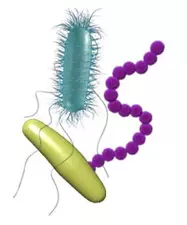 Dezinfekcija i filteri za klime, Zagreb, Zagrebačka županija, Hrvatska3.jpg