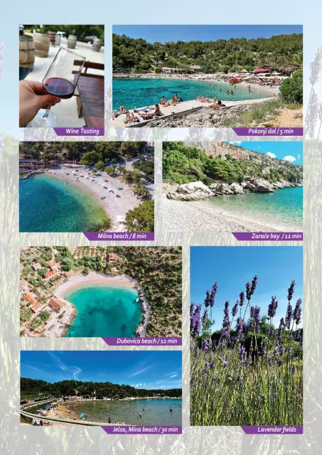 Hvar taxi service 1.jpeg