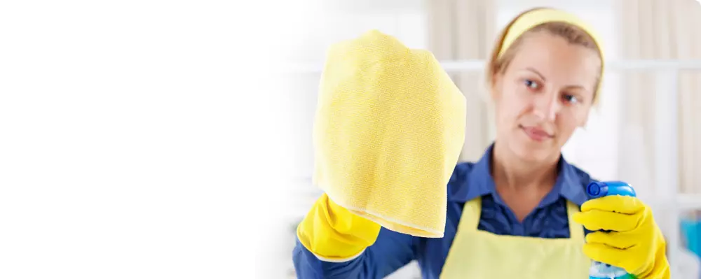 Čišćenjeiodržavanjestubištaitepiha,Kastav2