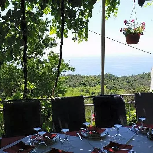 Škarpinaispodpeke,BabinoPolje