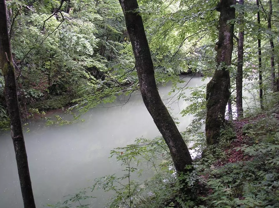 Športskiribolov,poribljavanje,Vrbovsko Športskiribolov,poribljavanje,Vrbovsko