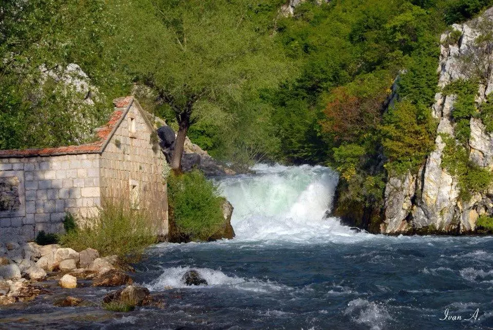 Športskoribolovnodruštvo,Sinj