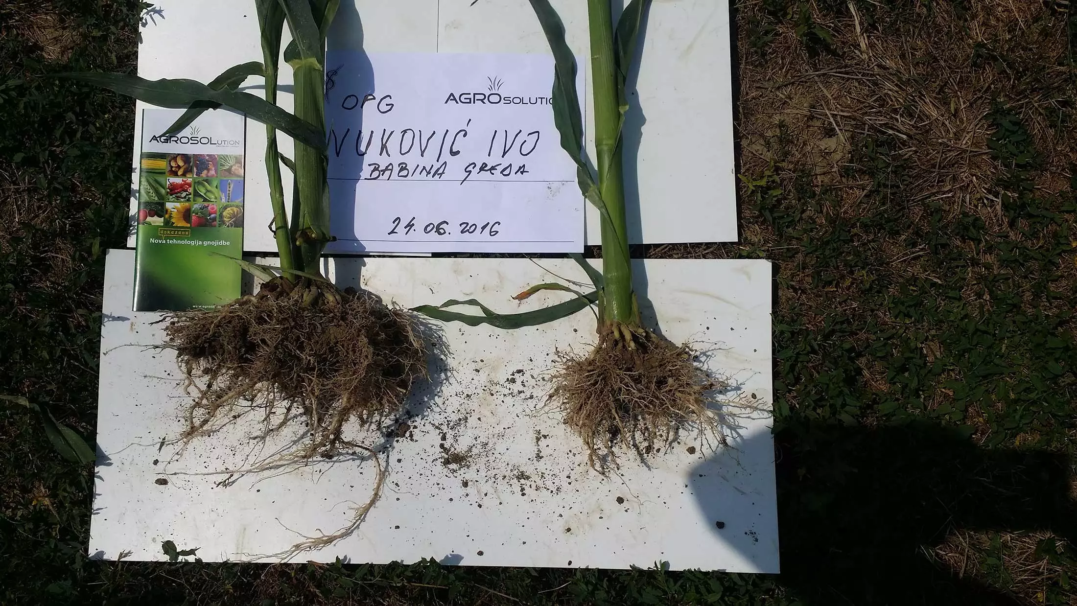 Agrolastarepromaterijal