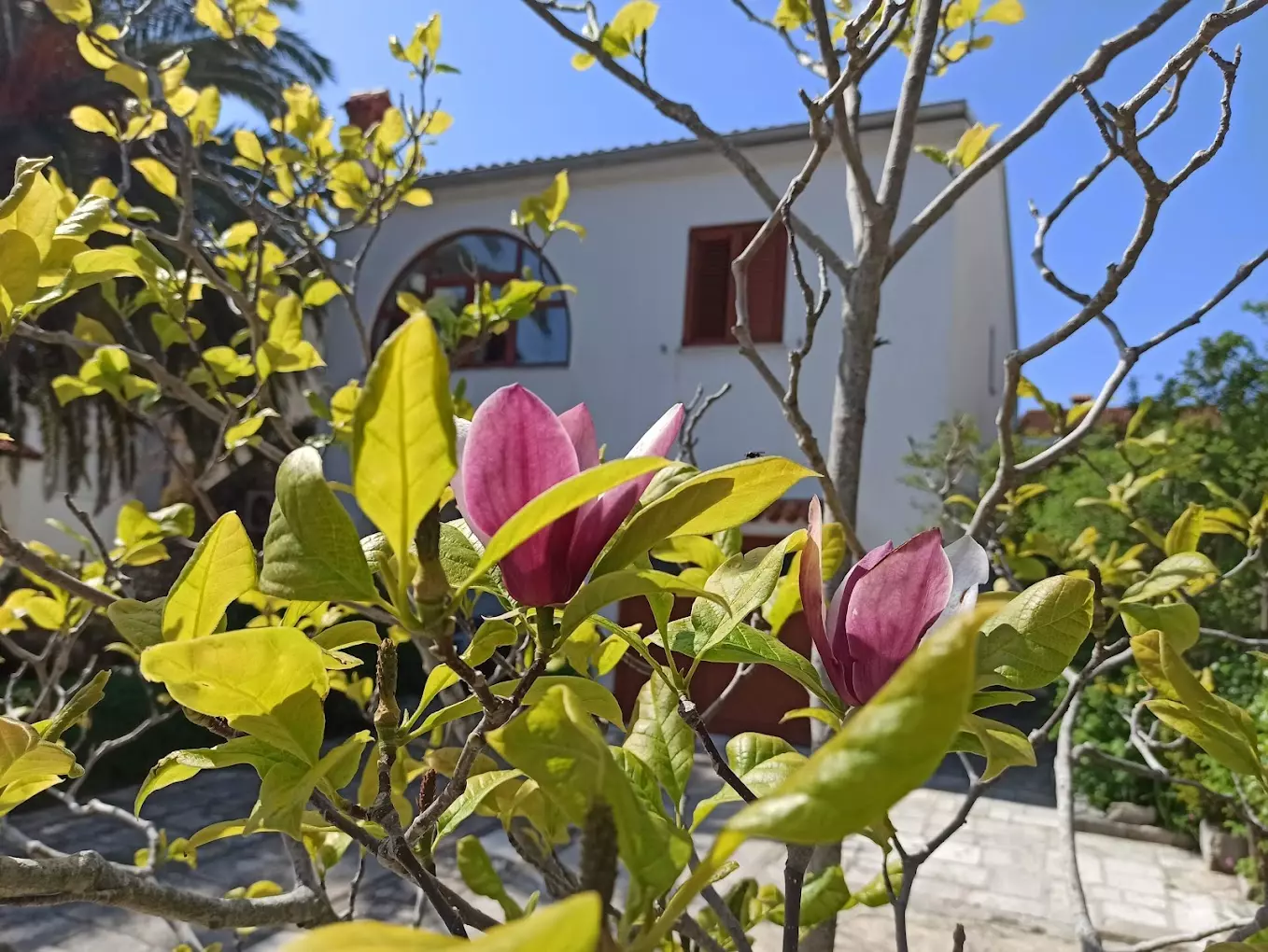 Apartmani u blizini mora u Malom Lošinju