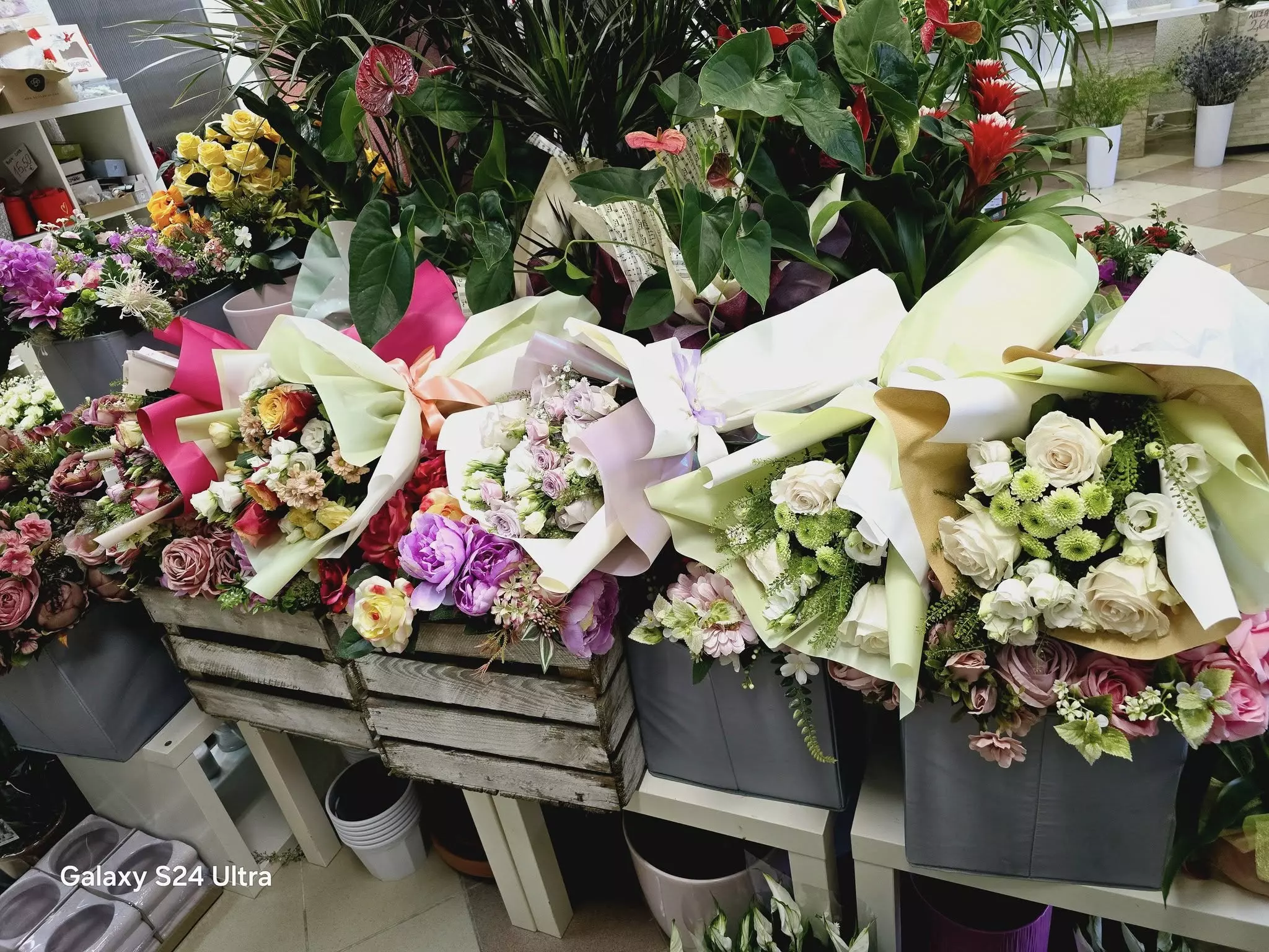 Aranžiranje cvijeća u gradu Puli, Hrvatska