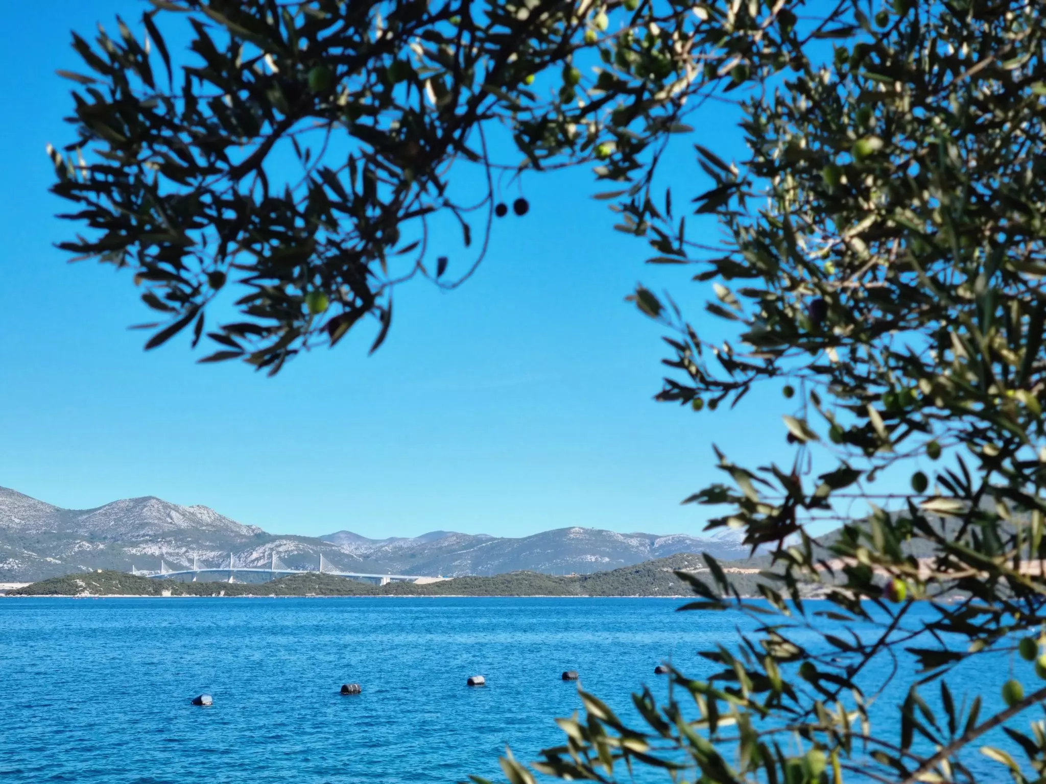 Jednodnevni izleti, vinske ture Dubrovnik, Pelješac