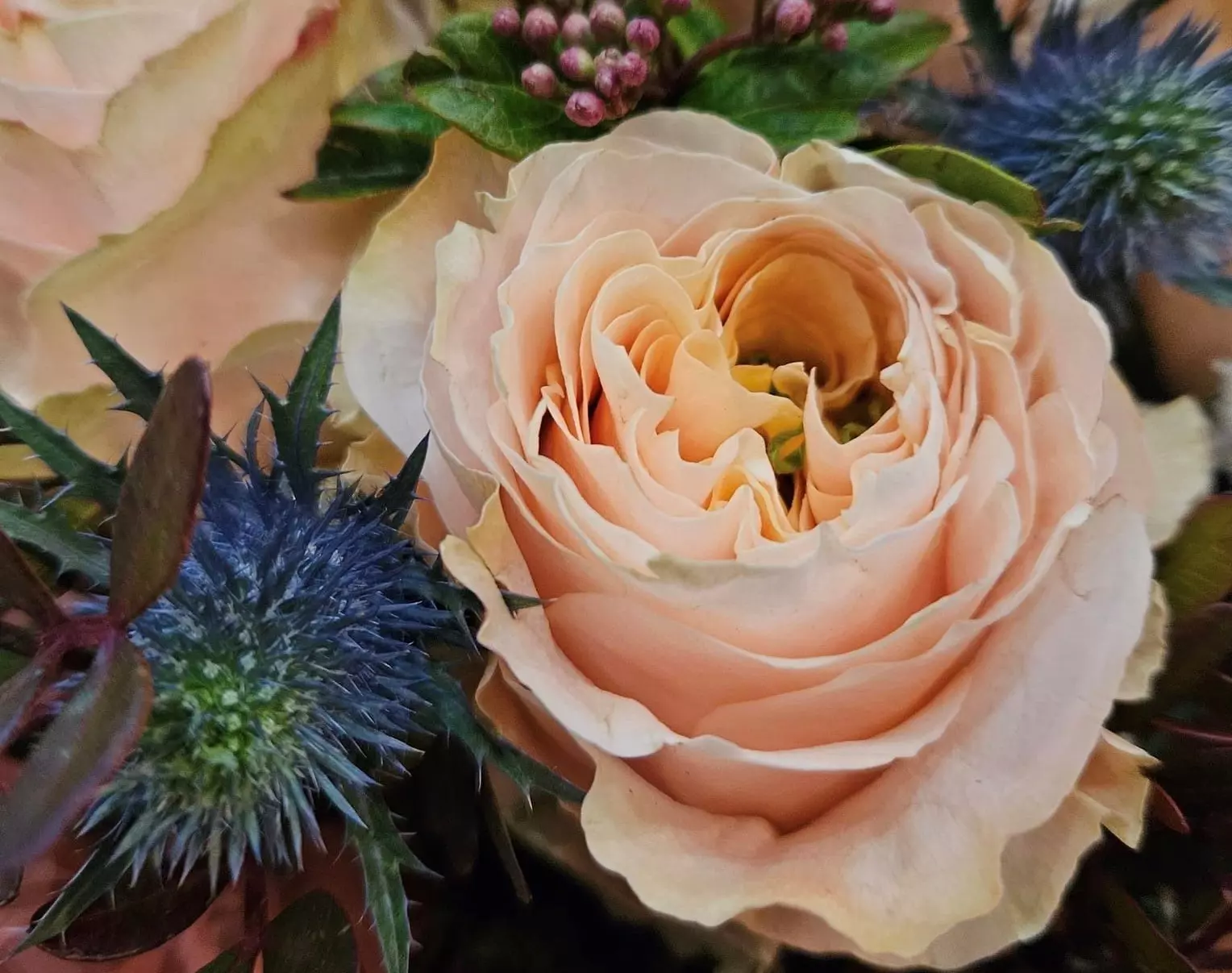 Cvjetni aranžmani za sve vrste prigoda, grad Bjelovar Hrvatska