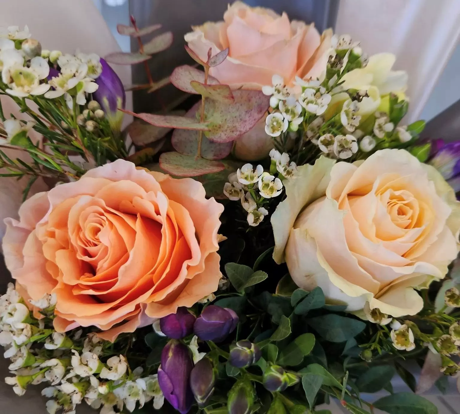 Cvjetni aranžmani za sve vrste prigoda u Bjelovaru Hrvatska