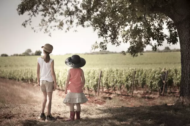 AutohtonesorteMalvazijaiTeran,Umag,Hrvatska AutohtonesorteMalvazijaiTeran,Umag,Hrvatska