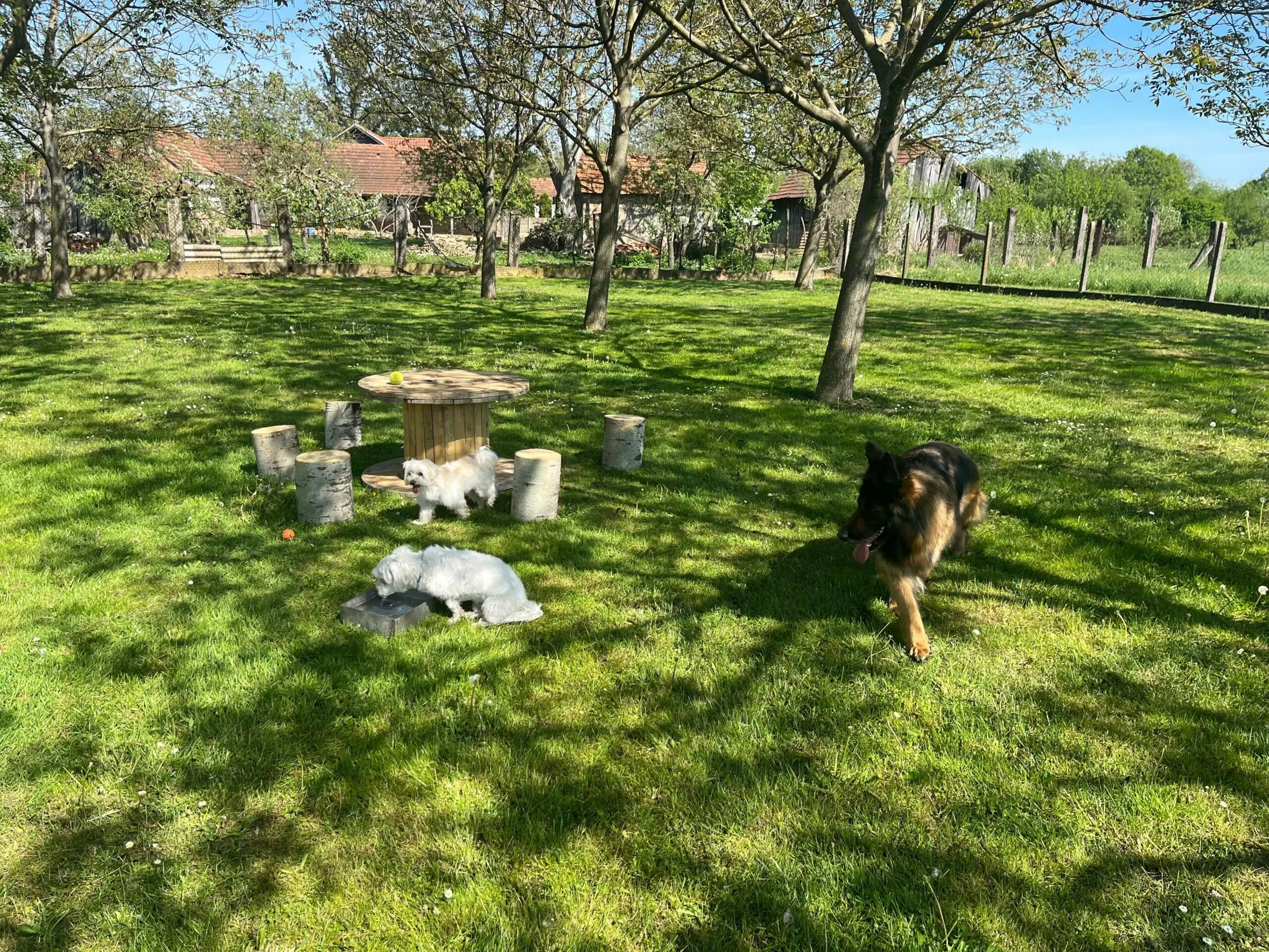 Hotel za pse Međimurje, RH