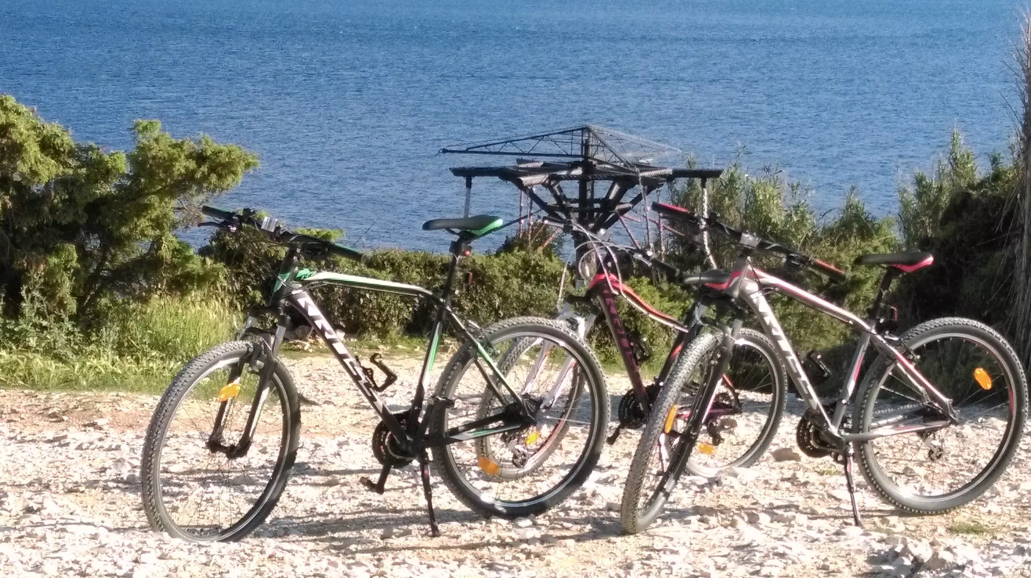 Besplatna_dostava_bicikala_Pula6 Besplatna_dostava_bicikala_Pula6