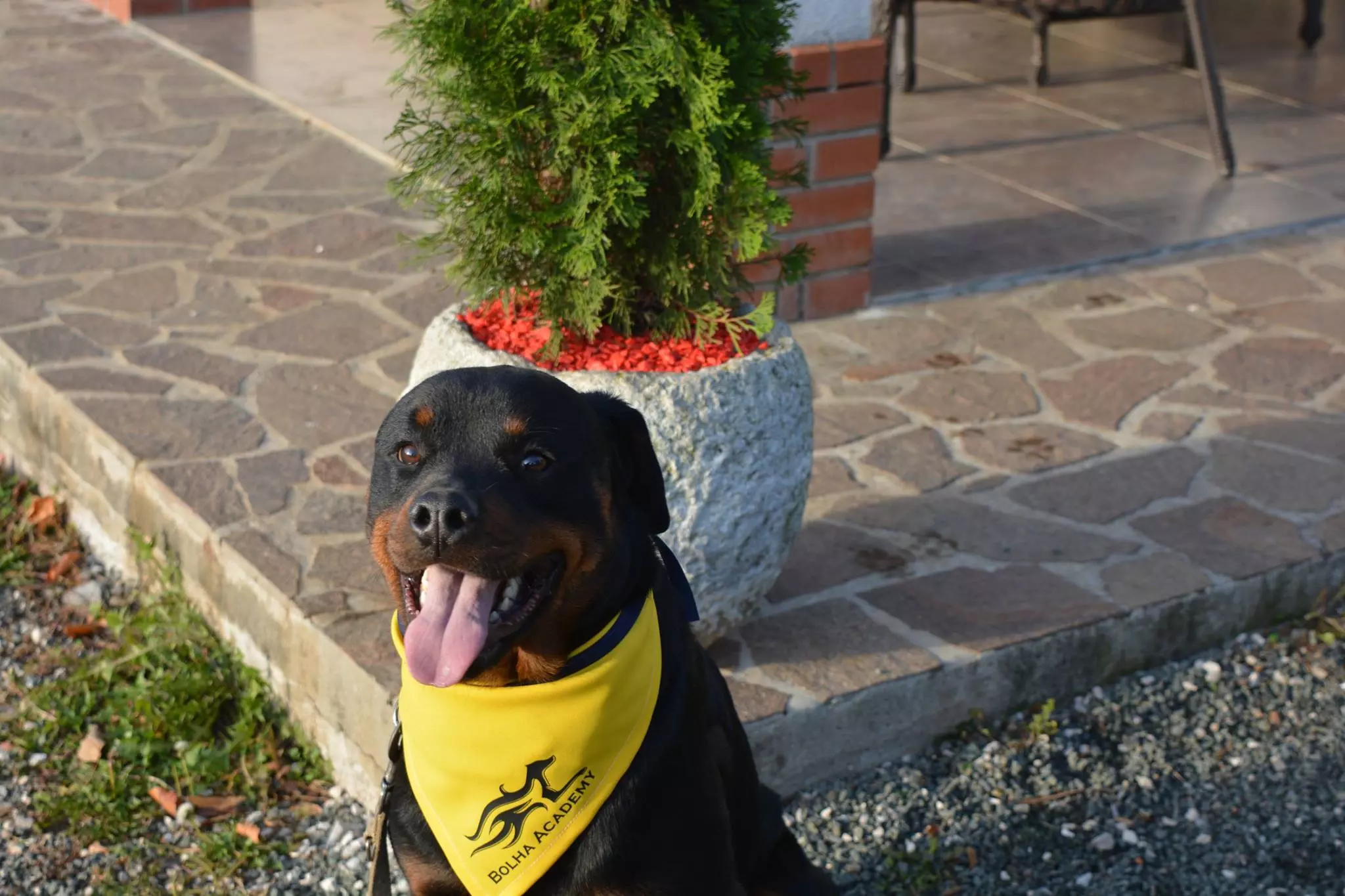 Hotel za pse Hotel za pse Klana, Hrvatska