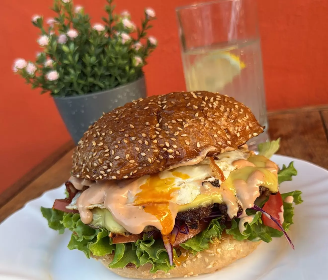 Burger Burger dostava u Vinkovcima