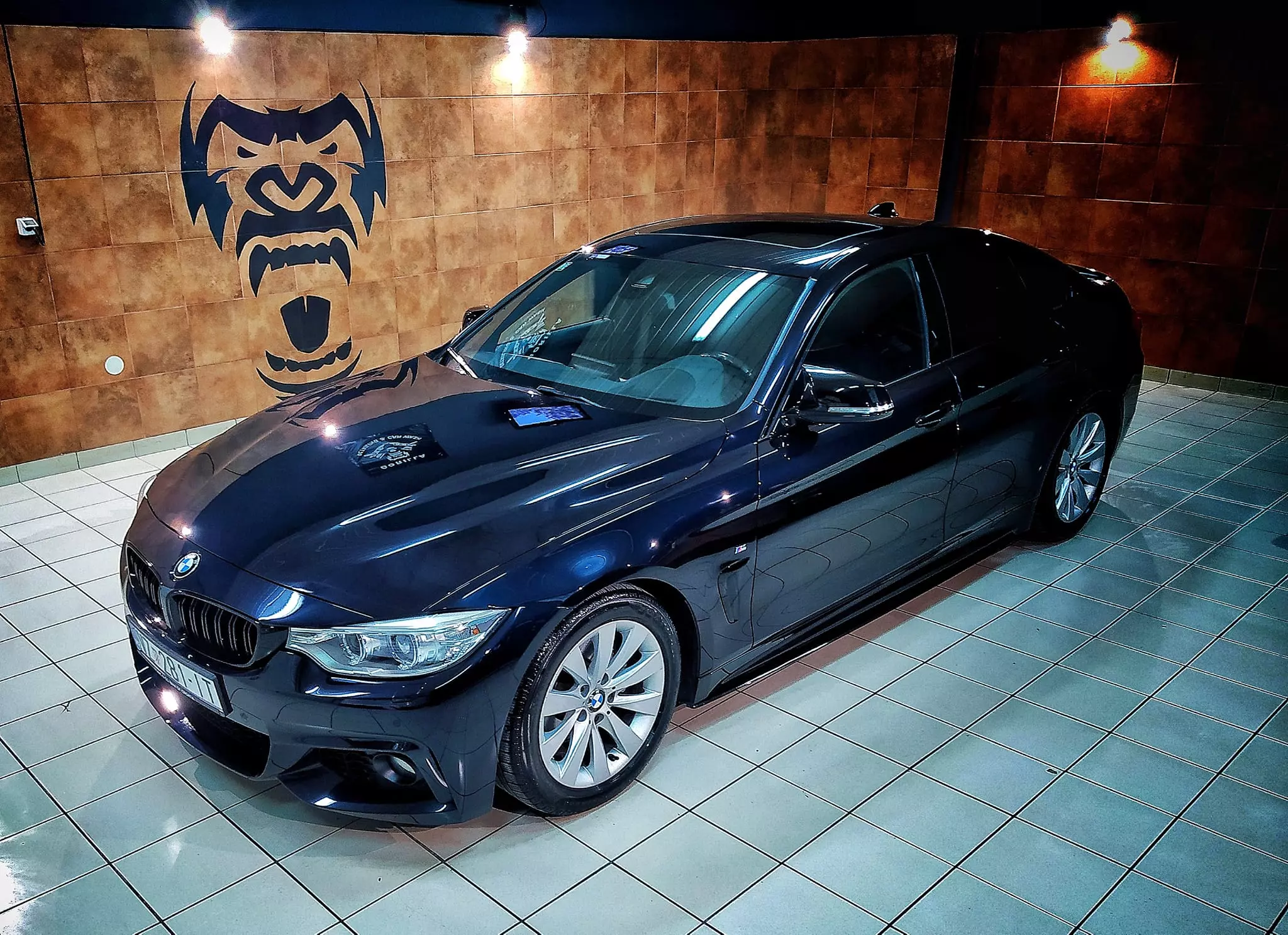 CarWashGorilla1 CarWashGorilla1