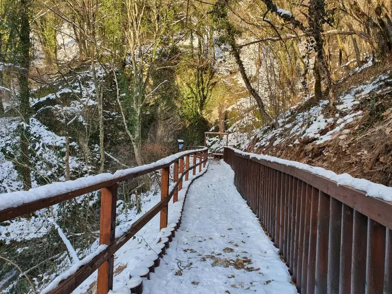 Jedinice lokalne uprave i samouprave Cetingrad u Rh