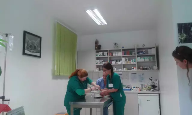 Cijepljenjeimikročipiranjeljubimaca,Split Cijepljenjeimikročipiranjeljubimaca,Split