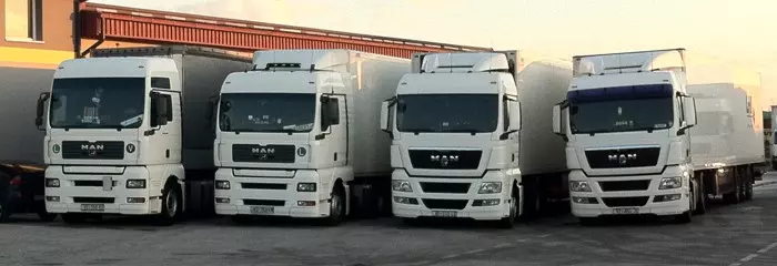 Prijevoz robe pod kontroliranom temperaturom Petrijanec