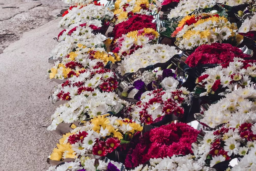 Uzgoj i prodaja cvijeća Varaždin, Hrvatska