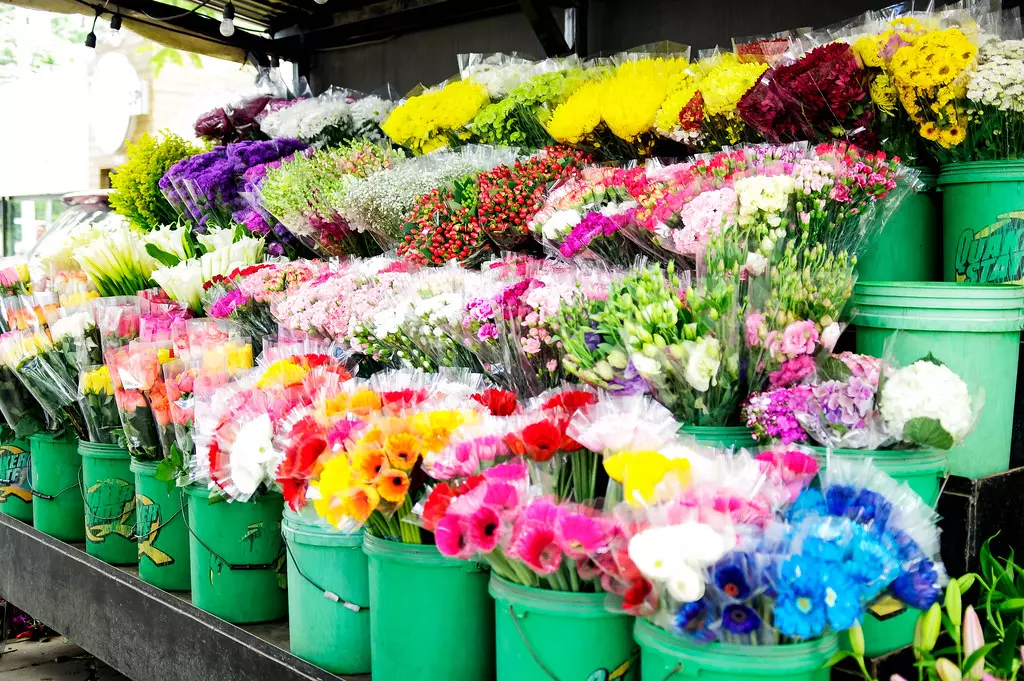 CvjećarnaLepoglava5