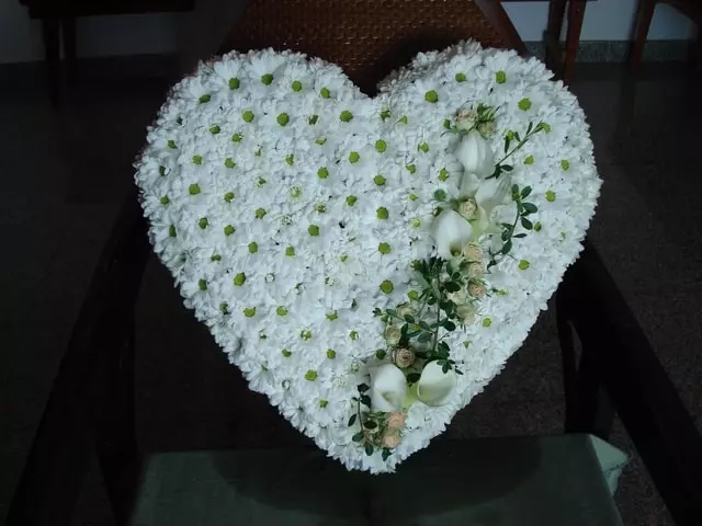 Cvjećarna_Miroševac10