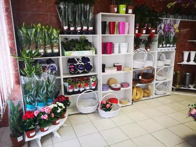 Cvjetna galerija, dekoracija Cvjetna galerija Đurđevac, RH