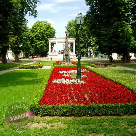 CvjetniAteljeMarina4