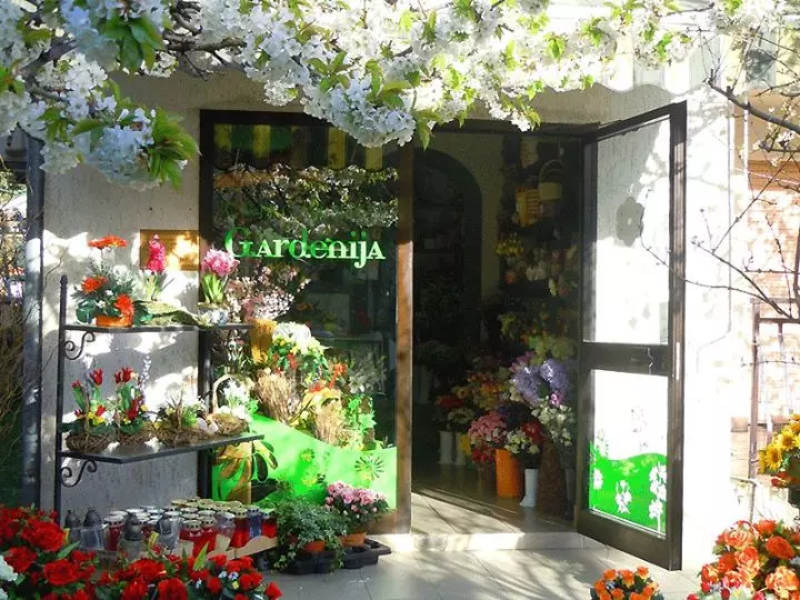 CvjećarnicasdostavomPoreč3 CvjećarnicasdostavomPoreč3
