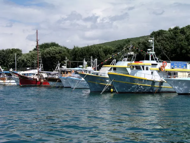 DalmatinskispecijalitetiiuslugasmještajanapodručjuStareBaške3