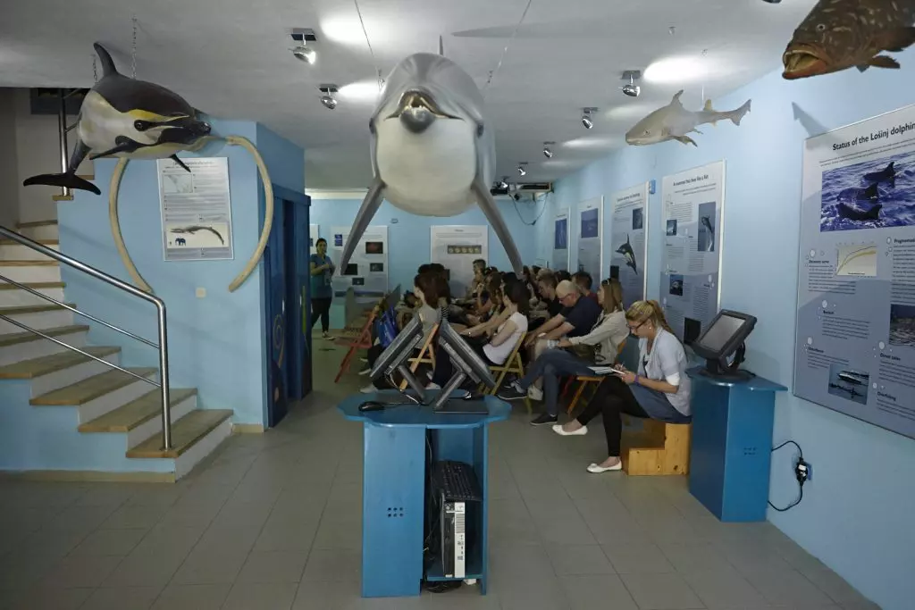 DolphinwatchingVeliLošinj DolphinwatchingVeliLošinj