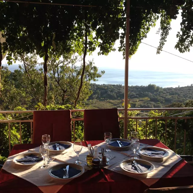 Domaćatjestenina,jelaispodpeke,BabinoPolje2