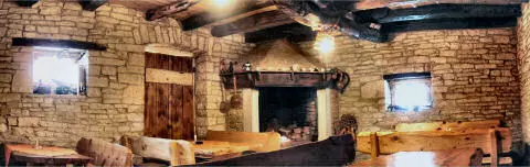 Domaćiistarskispecijaliteti,Tinjan