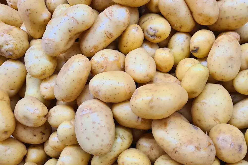 Veleprodaja domaćeg krumpira u Varaždinu