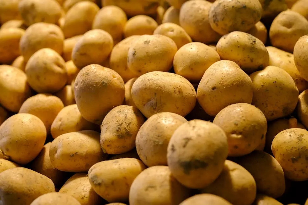 Prodaja domaćeg krumpira Prodaja domaćeg krumpira, Hrvatska