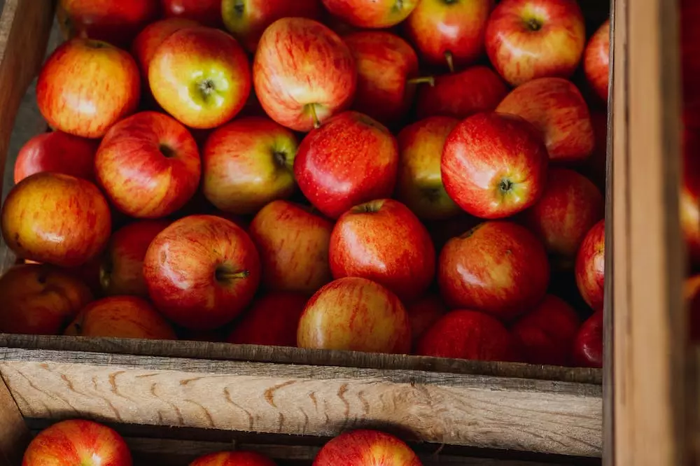 Proizvodnja drvene ambalaže Babina Greda u Hrvatskoj