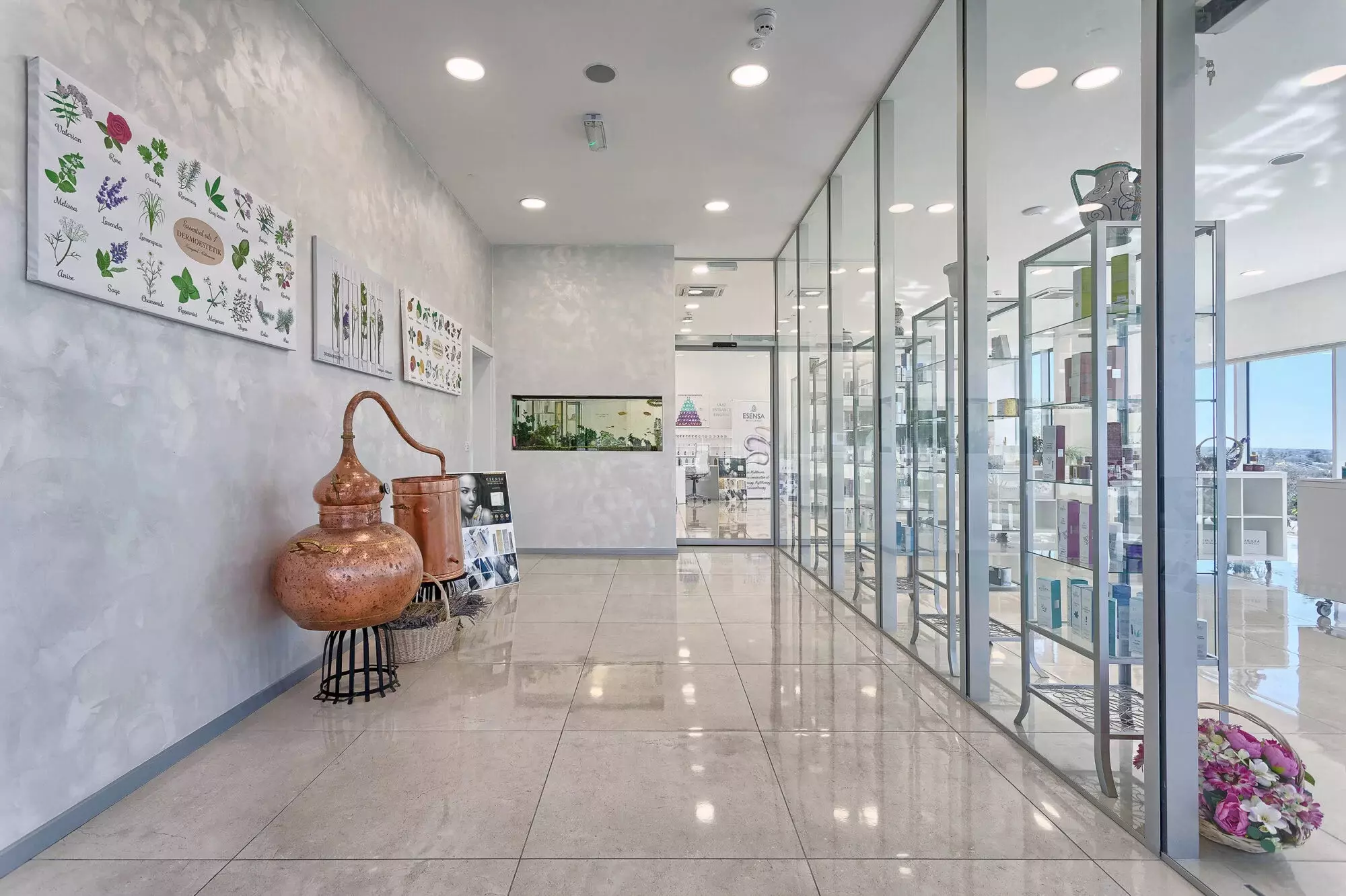 Wellness tretmani lica i tijela u gradu Novigradu, Hrvatska