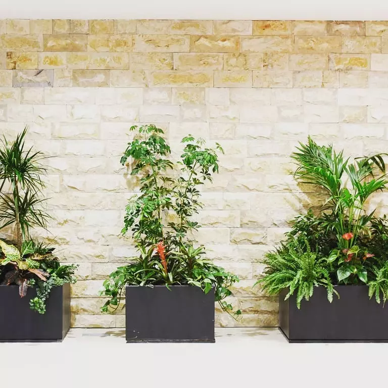 Održavanje zelenih površina Zadar Zadarska 