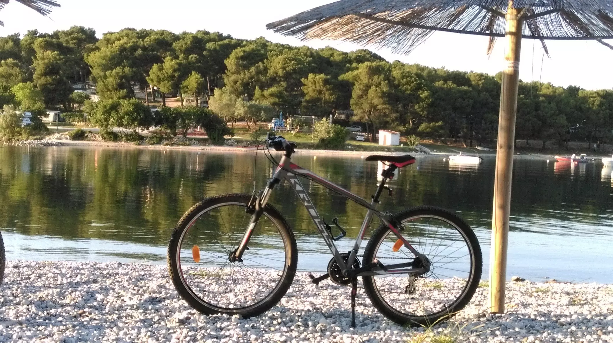 Flexible_and_reliable_company2