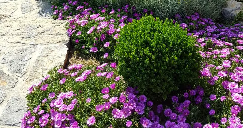 Uređenje okućnica i vrta uz hortikulturu Zagreb u Hrvatskoj