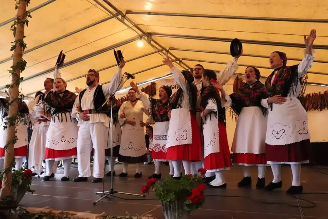 FolkloritamburaškisastavZdenci8