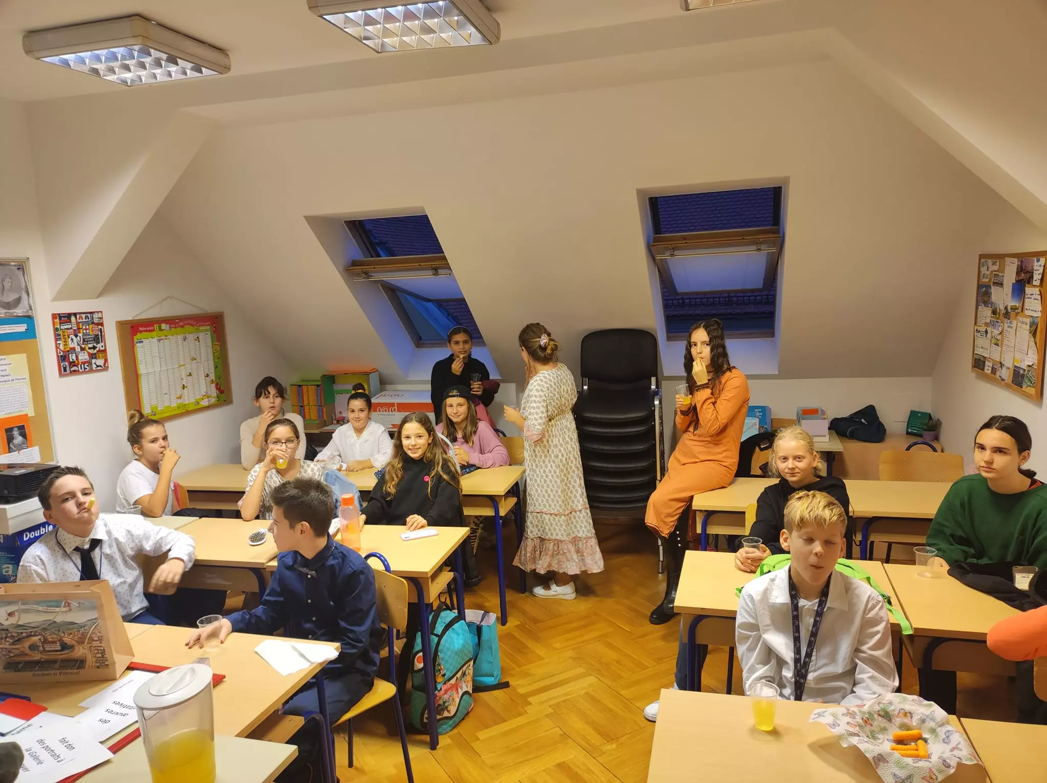 Usluge učenja i poduka iz francuskog jezika