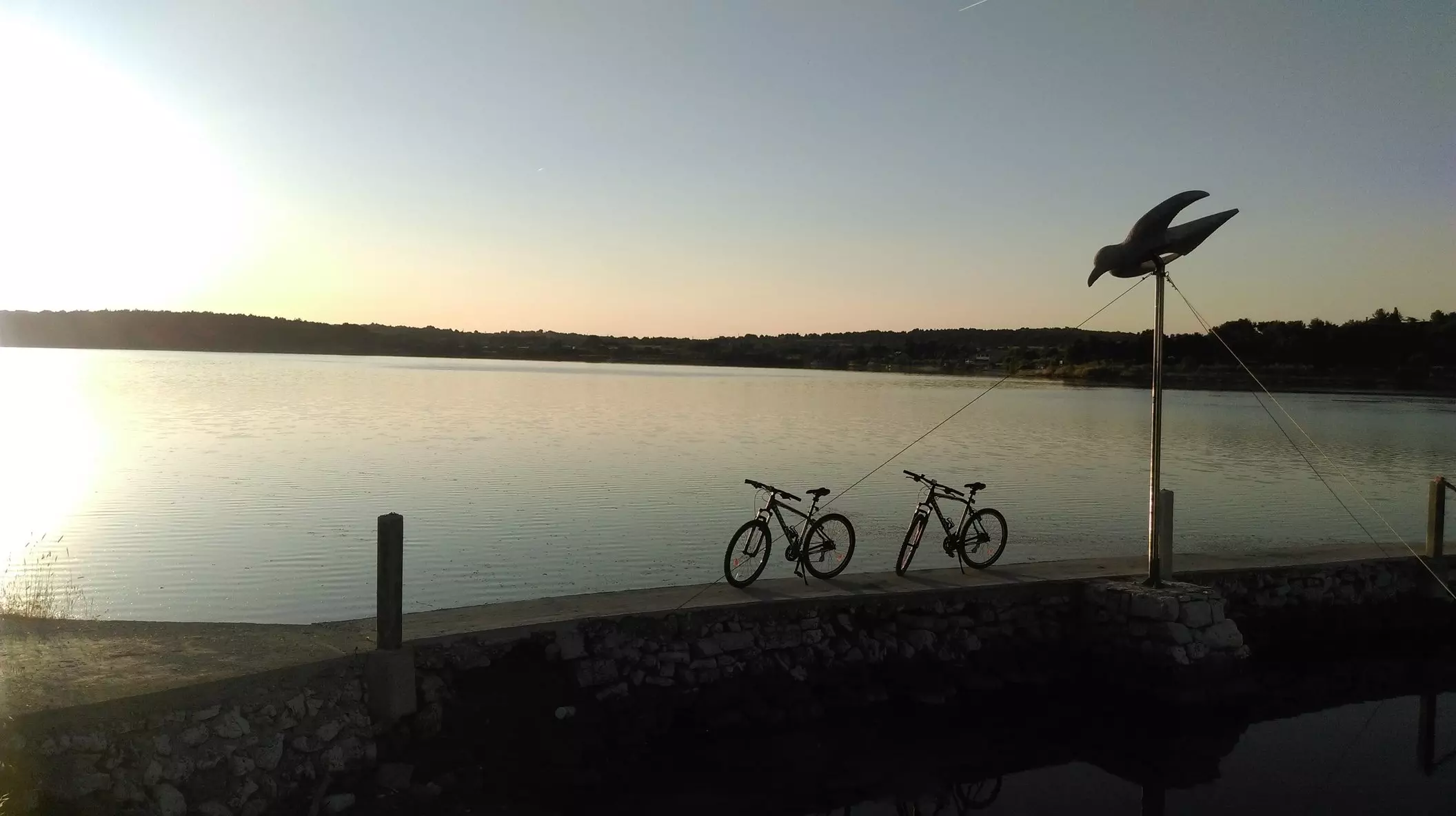 Free_bicycle_delivery_to_the_address6