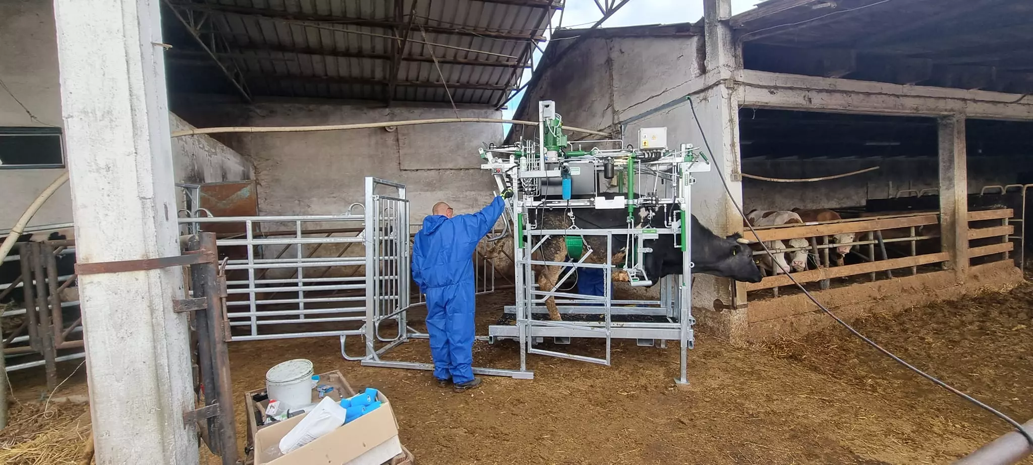 Korekcija papaka Piškorevci, Hrvatska